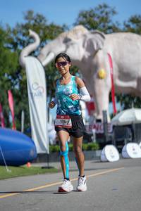 BIB: 
                            <button type="button" onclick="openModal(26545241)" class="btn btn-primary btn-sm float-right btn-popup" data-toggle="modal" data-target=".modal-high-quality">
                        <i class="fas fa-shopping-cart"></i> Add to Cart
                    </button>
                                            <button type="button" onclick="isThisMe(26545241, true)" class="btn btn-success btn-sm float-right btn-popup btn-isme hidden" data-toggle="tooltip" data-placement="bottom" title="นี่คือรูปของคุณใช่ไหม คลิกที่นี่เพื่อเอาเข้าอัลบั้ม">
                        <i class="fas fa-plus"></i> Add to album
                    </button>
                    <button type="button" onclick="isThisMe(26545241, false)" class="btn btn-warning btn-sm float-right btn-popup btn-isnotme hidden">
                        <i class="fas fa-ban"></i> Remove from album
                    </button>